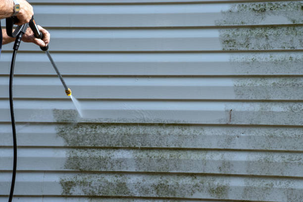 Affordable Siding Repair and Maintenance Services in Bangor Base, WA